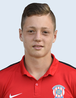Ladislav Krejčí #-