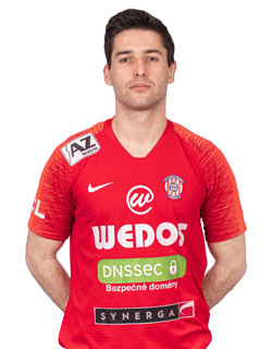 Zoran Gajić #