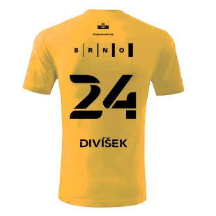 Josef Divek