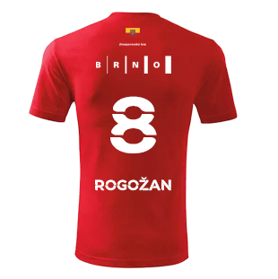 Luk Rogoan